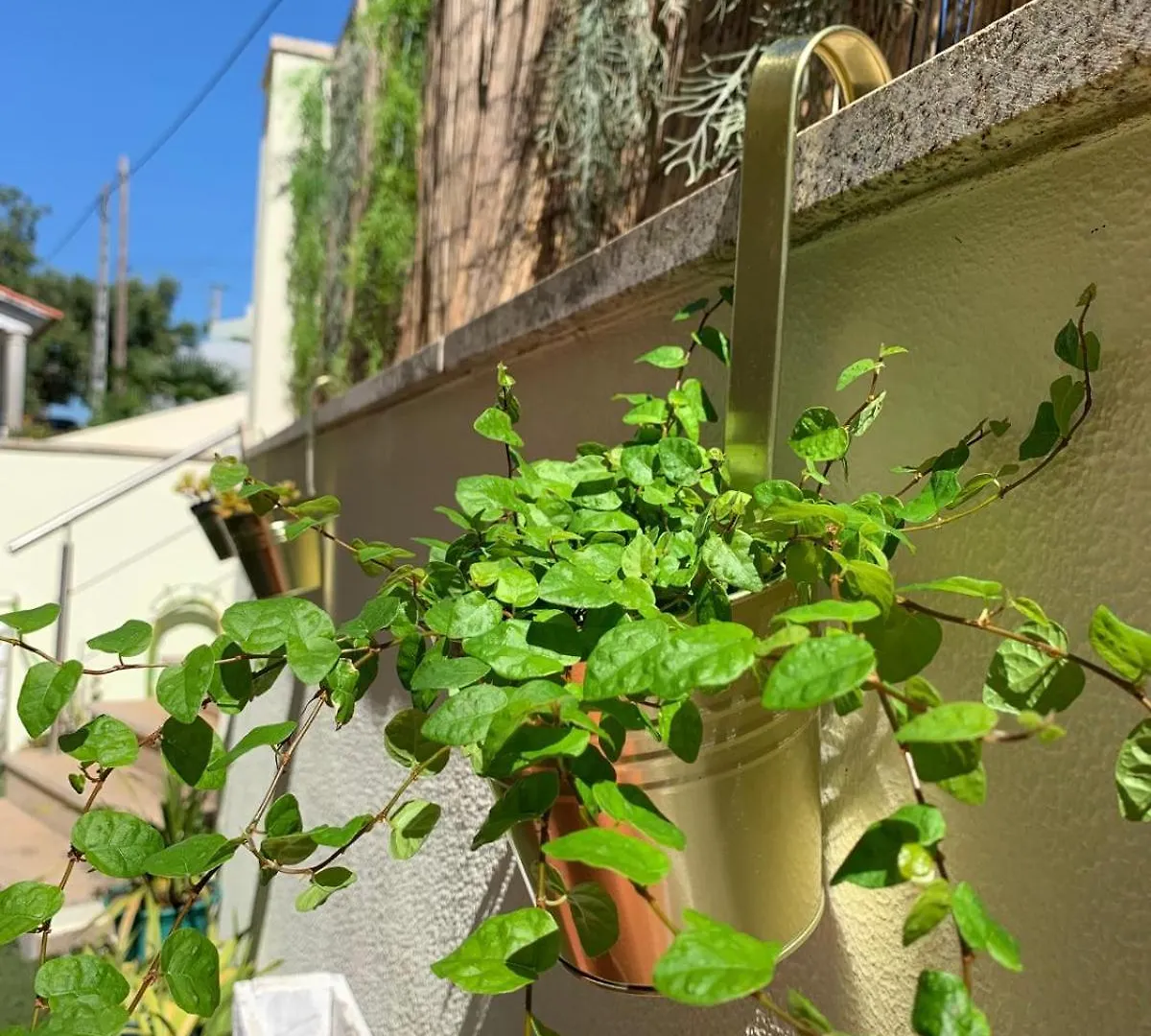 לינה וארוחת בוקר קוימברה Charming Cozy Retreat - Terrace & Private Balcony